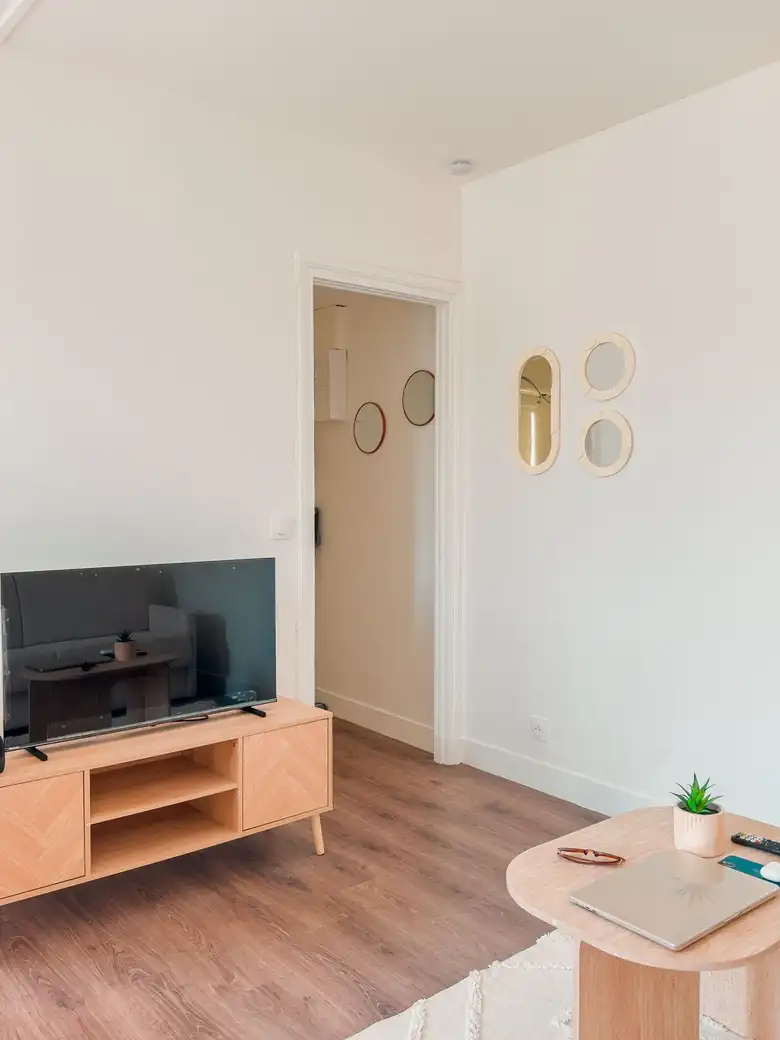 Le mur TV et l’entrée — Appartement de 20m² à Alfortville