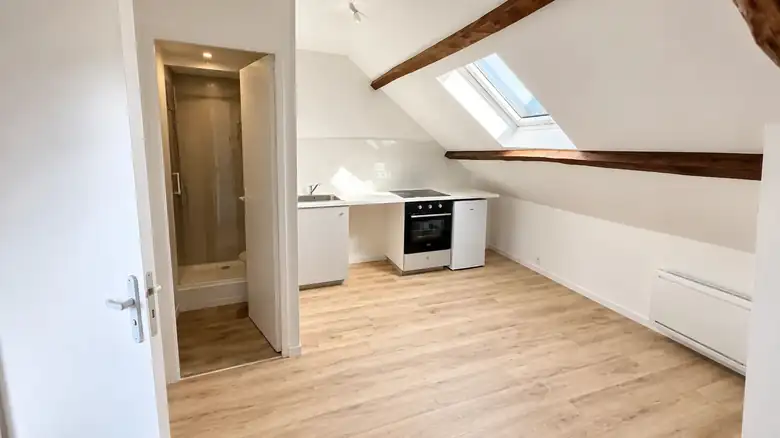 Le studio des combles et sa salle d’eau — Immeuble de rapport de 130m² composé de 4 lots à Juziers