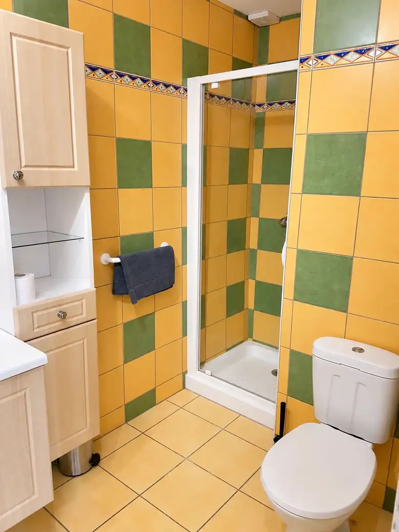 Salle d’eau : douche et WC — Ancien hôtel de 114m² composé de 6 studios à Sainte-Savine
